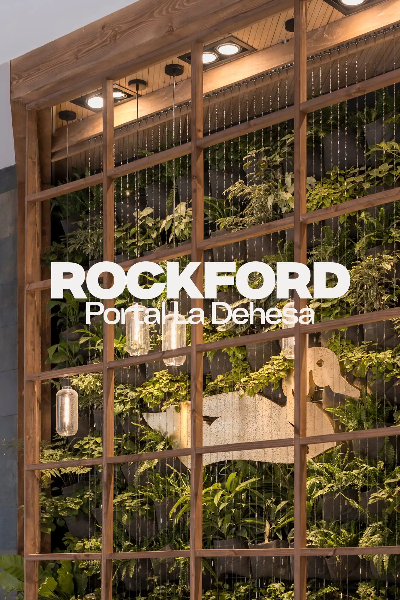 Rockford — foto 17